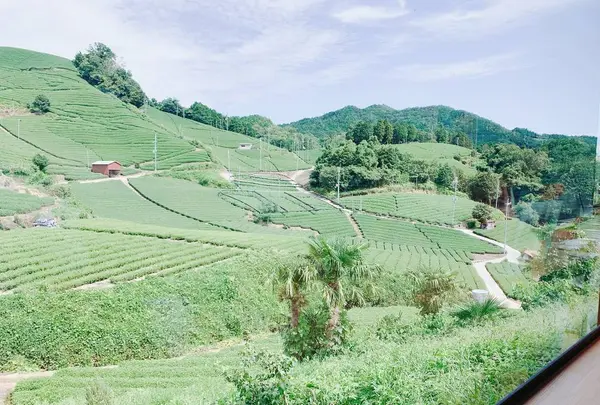 dandancafeの写真・動画_image_647999