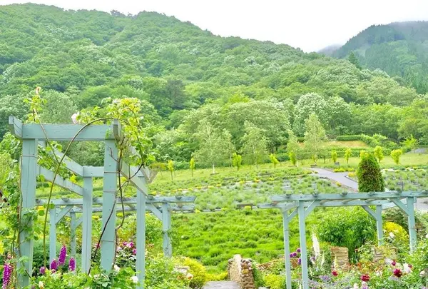 蒜山 ハーブガーデンの写真・動画_image_648402