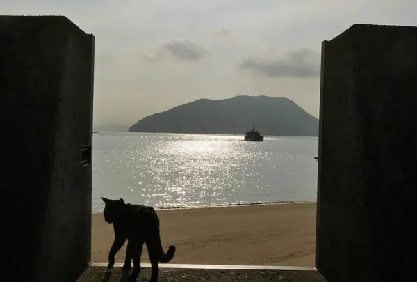 佐柳島の写真・動画_image_648411