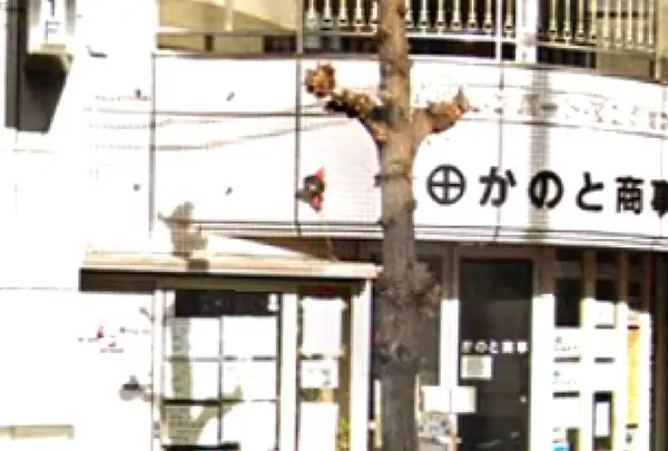 SAKADO HALAL FOODの写真・動画_image_649299