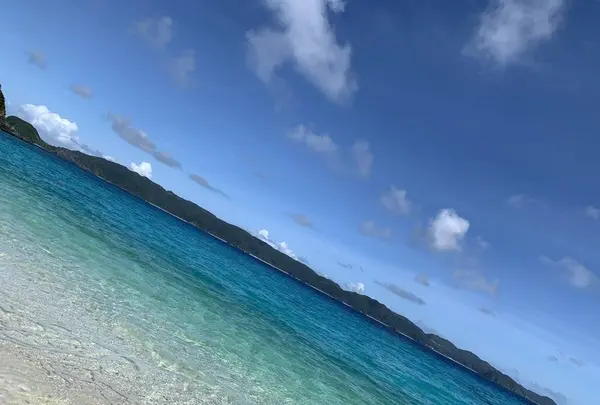 座間味島の写真・動画_image_649637