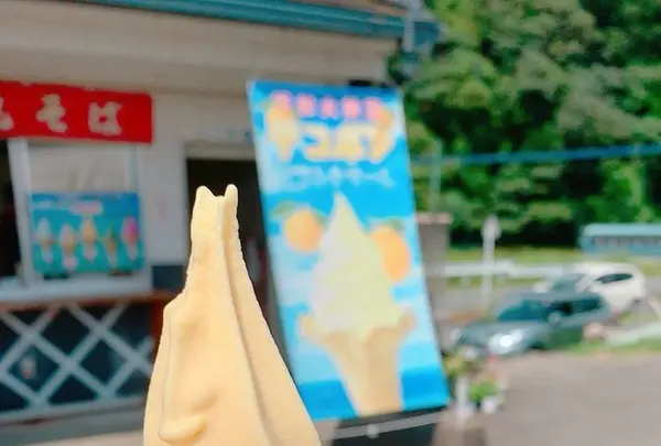 道の駅「不知火」の写真・動画_image_649755