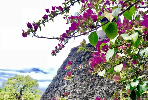 グラバー園の写真・動画_image_650064