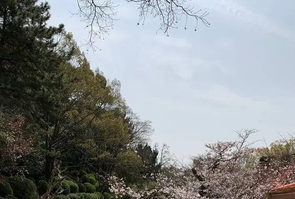 道後公園の写真・動画_image_650177