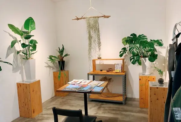 花のがっこうの写真・動画_image_650413