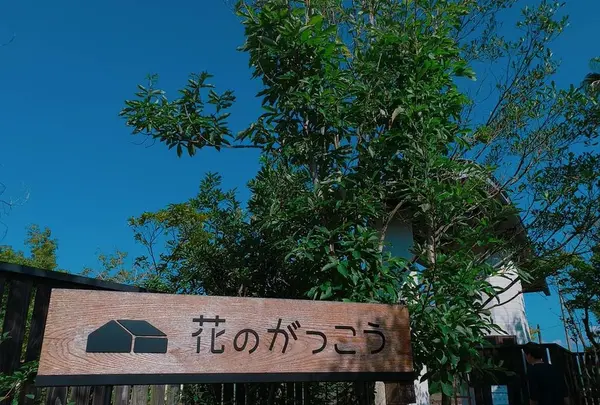 花のがっこうの写真・動画_image_650418