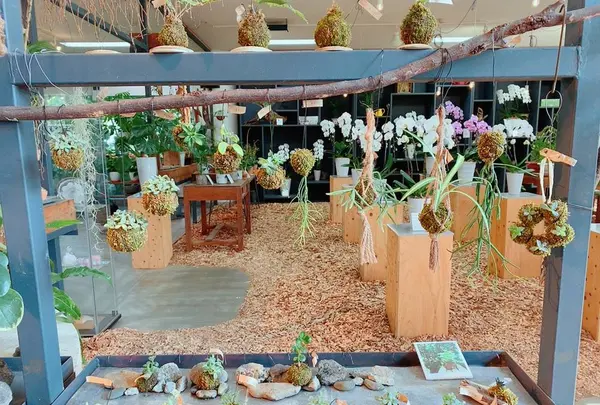 花のがっこうの写真・動画_image_650419