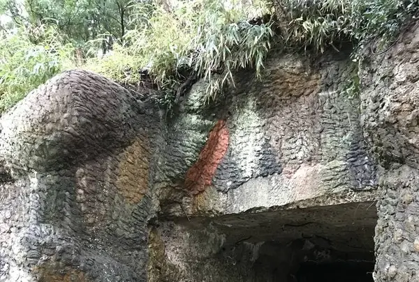 豊砲台跡の写真・動画_image_650512