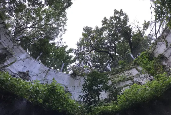 豊砲台跡の写真・動画_image_650513