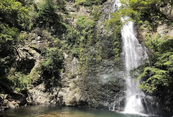 箕面の滝（箕面大滝）の写真・動画_image_650533