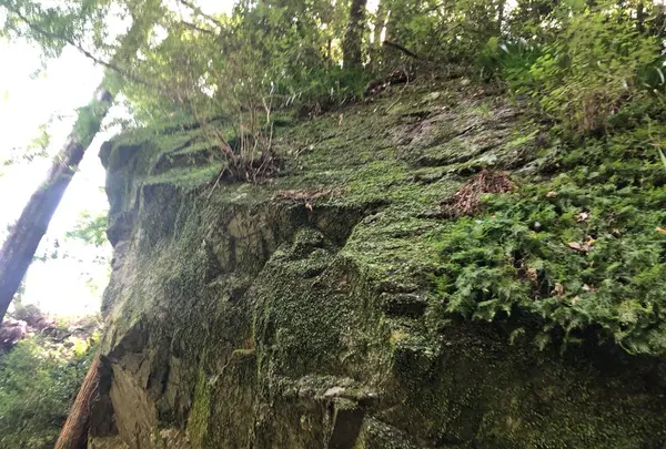 箕面の滝（箕面大滝）の写真・動画_image_650535