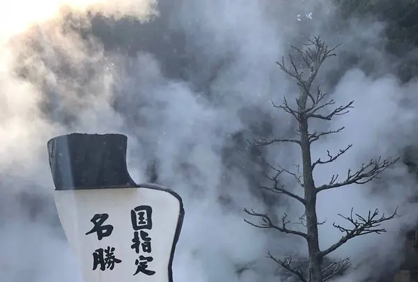 別府地獄めぐりの写真・動画_image_650858