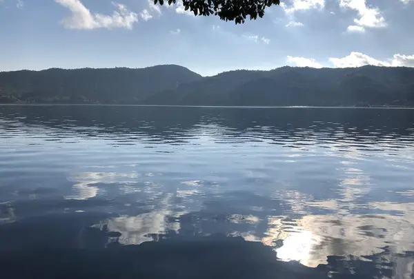 青木湖大向キャンプ場の写真・動画_image_651120