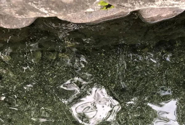 青木湖大向キャンプ場の写真・動画_image_651122