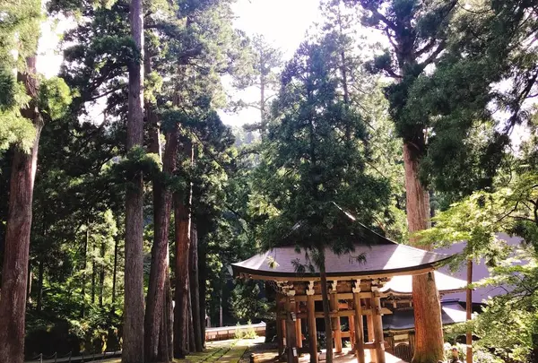 大本山永平寺の写真・動画_image_652528