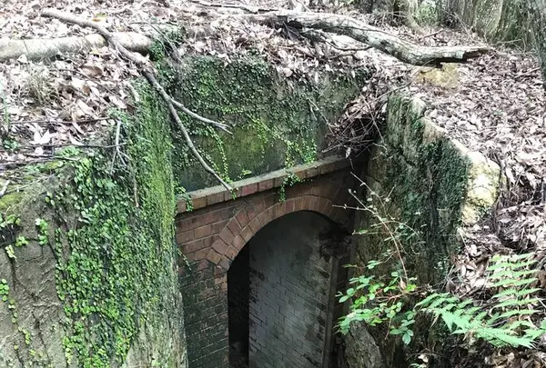 金田城跡の写真・動画_image_652547