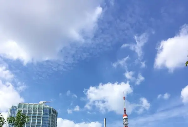 芝公園の写真・動画_image_652951