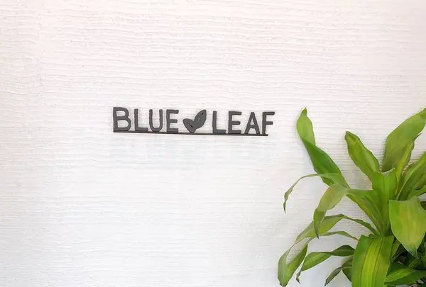 BLUE LEAFの写真・動画_image_653434