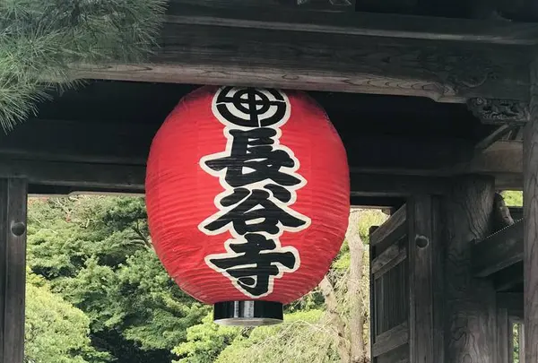 長谷寺の写真・動画_image_653499