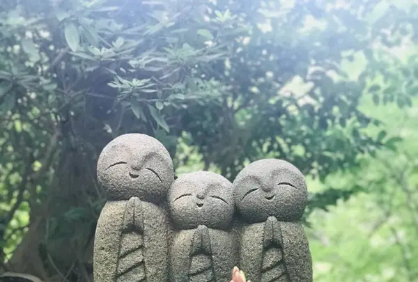 長谷寺の写真・動画_image_653500