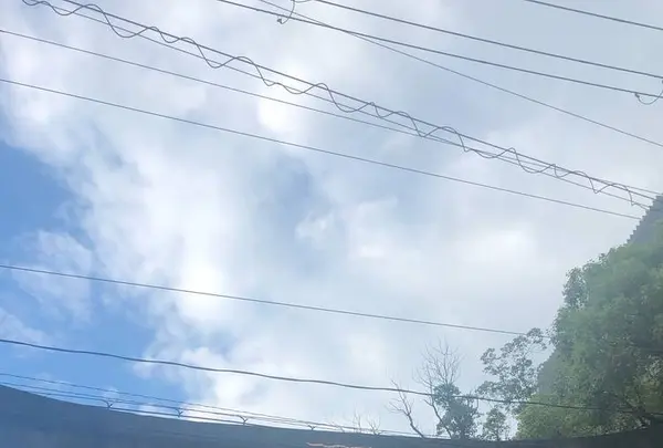 難波神社の写真・動画_image_653953