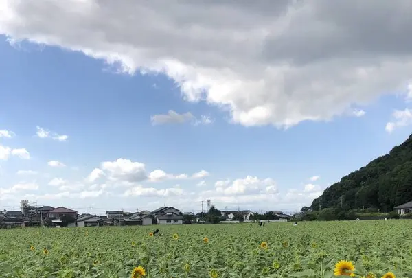 道の駅　原鶴の写真・動画_image_654035