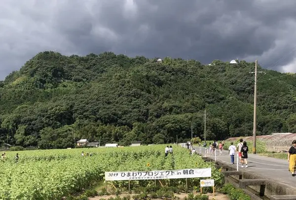 道の駅　原鶴の写真・動画_image_654036