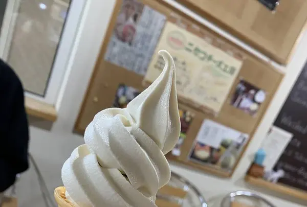 ニセコチーズ工房の写真・動画_image_654619