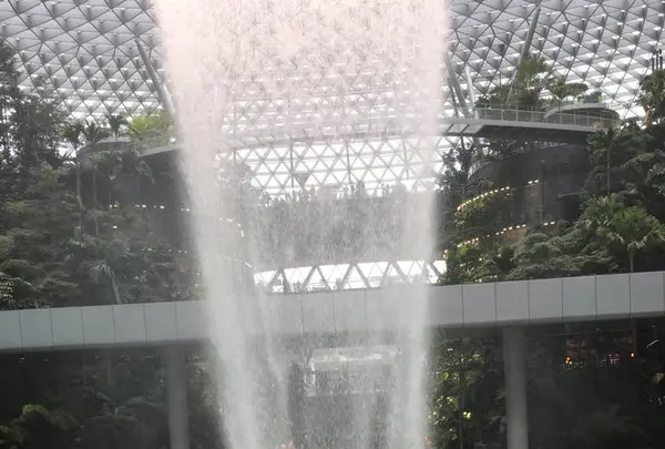 Jewel Changi Airportの写真・動画_image_654747