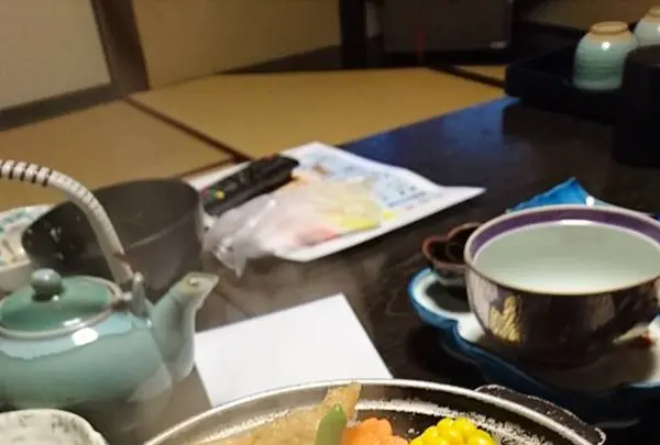 平田館の写真・動画_image_654758