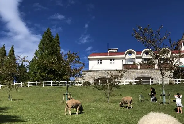 神戸市立六甲山牧場の写真・動画_image_654905