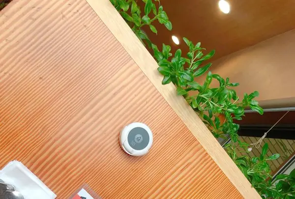 カレーの店 プーさんの写真・動画_image_657009