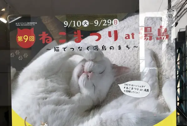 神田明神の写真・動画_image_657168
