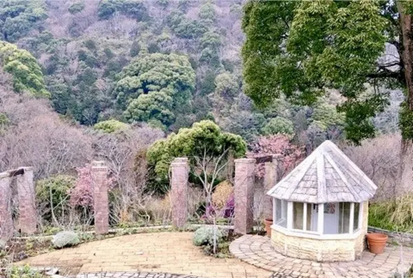 アカオハーブ＆ローズガーデンの写真・動画_image_657729