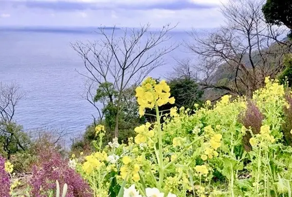 アカオハーブ＆ローズガーデンの写真・動画_image_657730