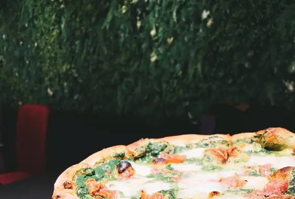 グリーンハウスヴァルトの写真・動画_image_657878