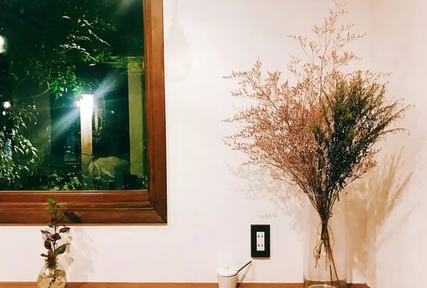 Cafe maniの写真・動画_image_657919