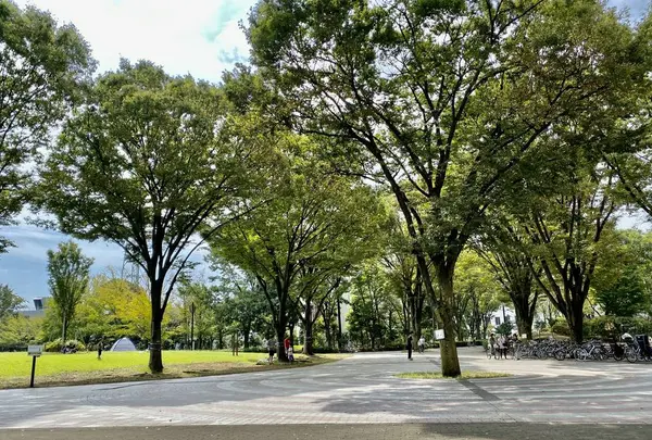 都立東村山中央公園の写真・動画_image_658241