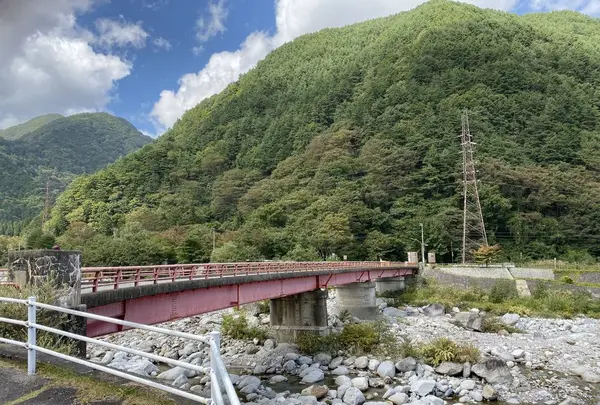 駒ヶ根橋の写真・動画_image_658243