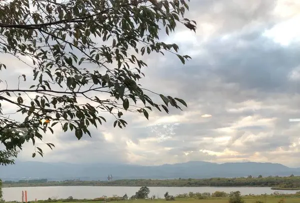 季の庭 YA-YELL（ヤ・エール）の写真・動画_image_658433