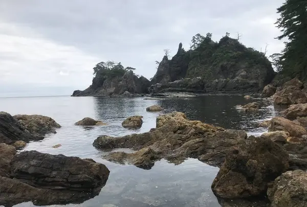 浄土ケ浦海岸の写真・動画_image_658462