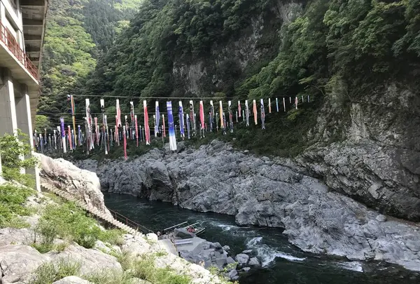 大歩危・小歩危の写真・動画_image_658466