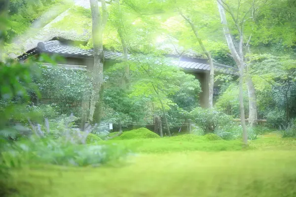 祇王寺の写真・動画_image_658886