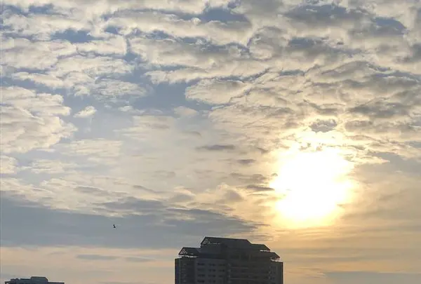 函館の写真・動画_image_658961