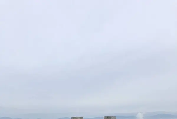 函館の写真・動画_image_658962