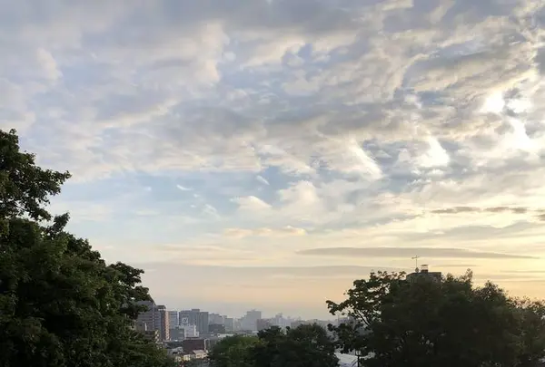 函館の写真・動画_image_658964