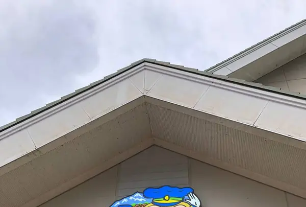 立山黒部アルペンルートの写真・動画_image_658966