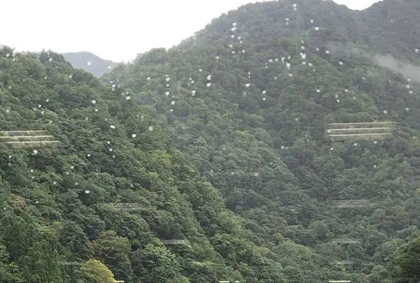 立山黒部アルペンルートの写真・動画_image_658969