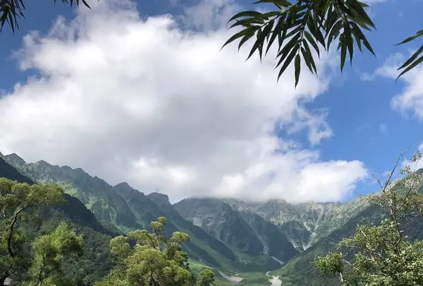 立山黒部アルペンルートの写真・動画_image_658970