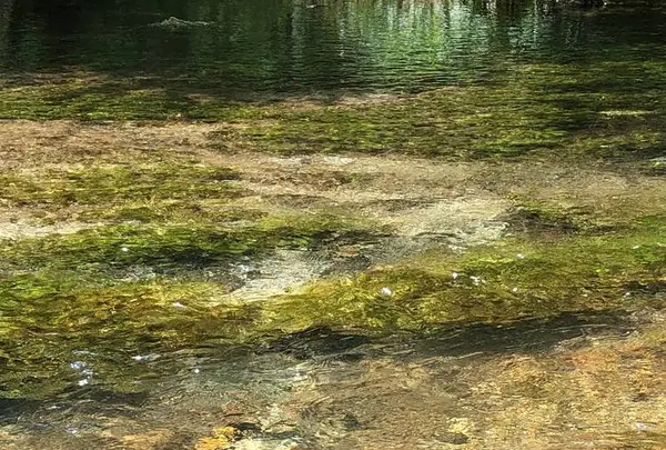 立山黒部アルペンルートの写真・動画_image_658971